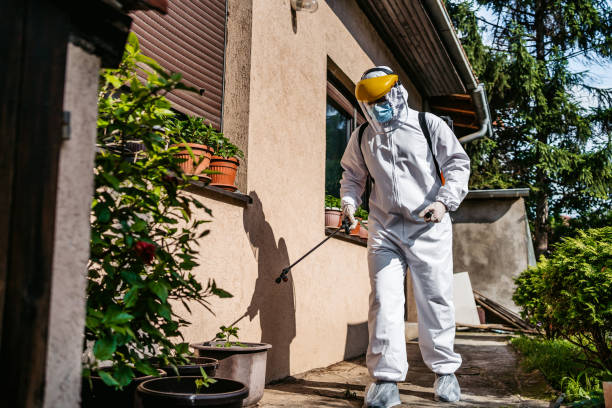 Best Bird Control  in Richton Park, IL