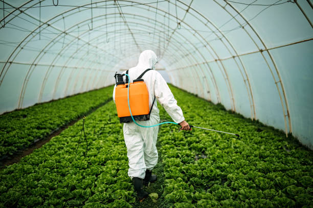 Richton Park, IL Pest Control Company