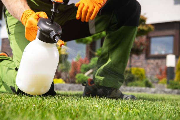 Best Local Pest Control Services  in Richton Park, IL