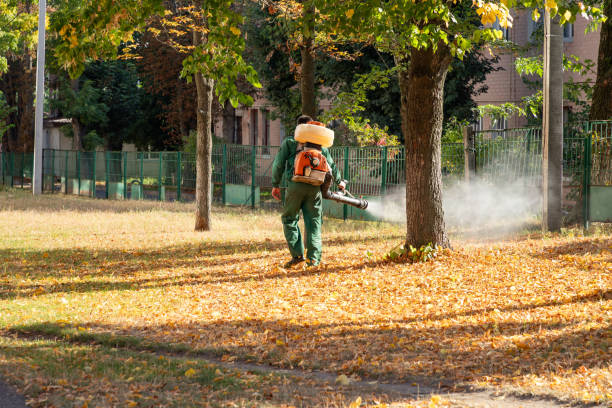 Best Pest Removal Services  in Richton Park, IL
