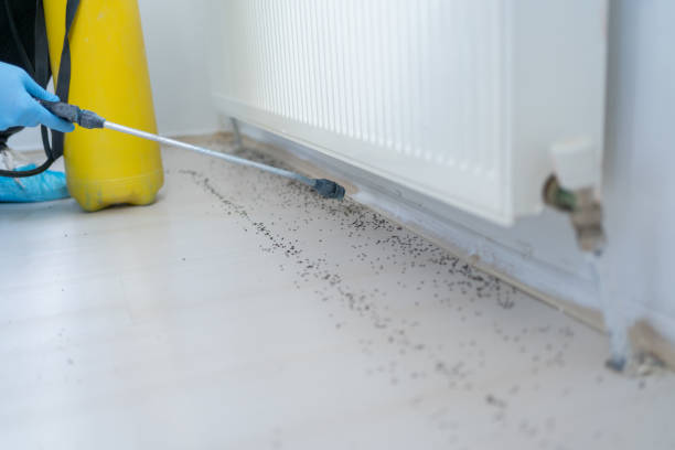 Best Pest Control Treatment  in Richton Park, IL