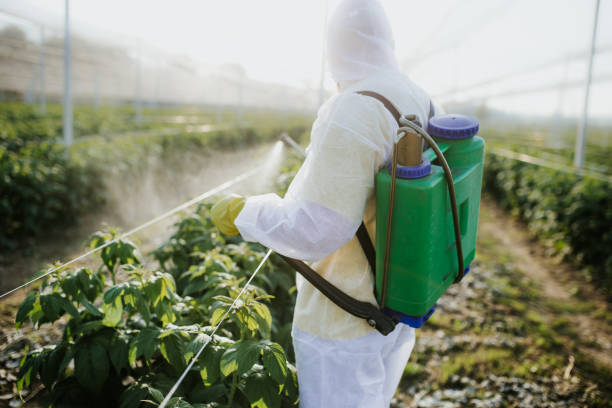 Best Pest Prevention Services  in Richton Park, IL
